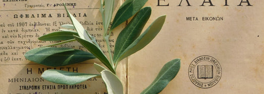 History of Olive Oil in Ancient Greece